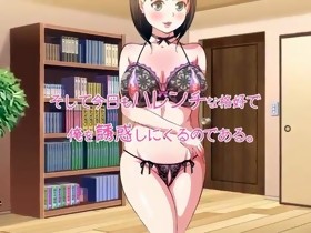 japanese anime collection Vol.0003 ikisugi imouto